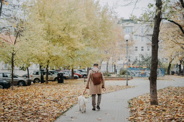 Vista trasera del hombre mayor paseando a su perro al aire libre en el parque en el día de otoño. — Foto de Stock