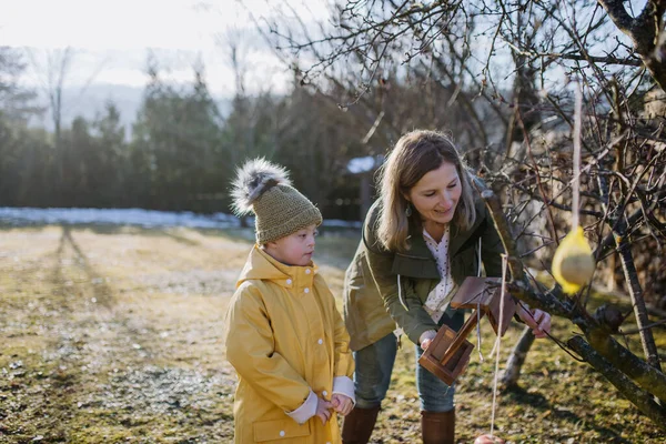 Jongen met Down syndroom met zijn moeder opknoping vogelhuisje in de tuin in de winter samen. — Stockfoto