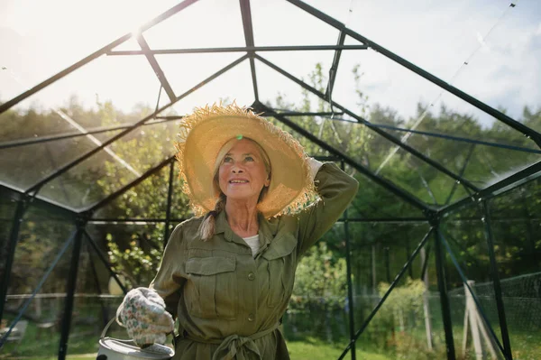 庭で温室で散水缶を保持している幸せなシニア庭師女性. — ストック写真