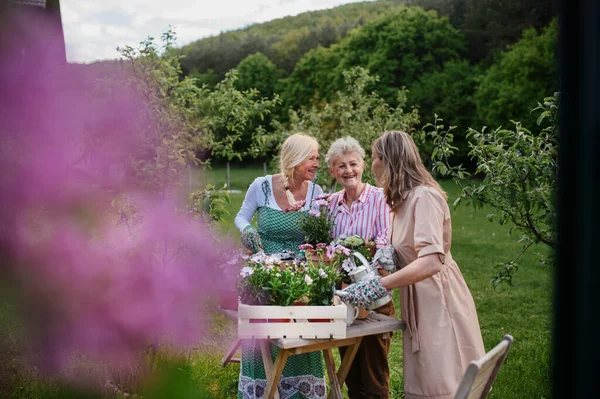 Счастливые пожилые женщины друзья посадки цветов вместе на открытом воздухе, концепция общественного сада. — стоковое фото