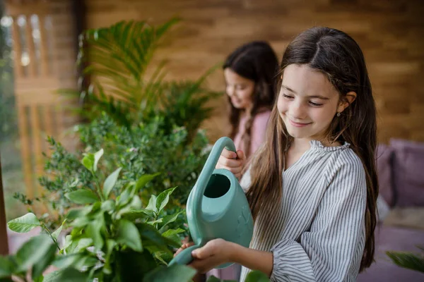 Sorelle felici annaffiando piante al chiuso in conservatorio. — Foto Stock