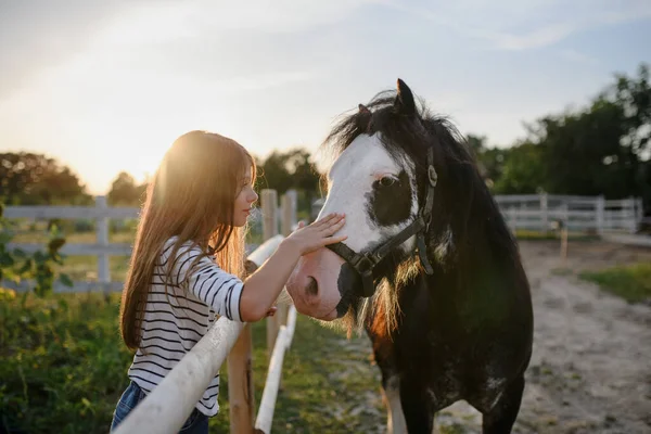 छोटी लड़की सामुदायिक फार्म में आउटडोर घोड़े को गले लगा रही . — स्टॉक फ़ोटो, इमेज