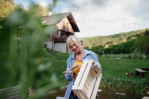 Wanita senior dengan kuas cat menghamili peti kayu di luar ruangan di kebun. — Stok Foto