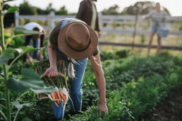 Vidám gazdák vagy kertészek dolgoznak a szabadban a közösségi gazdaságban. — Stock Fotó