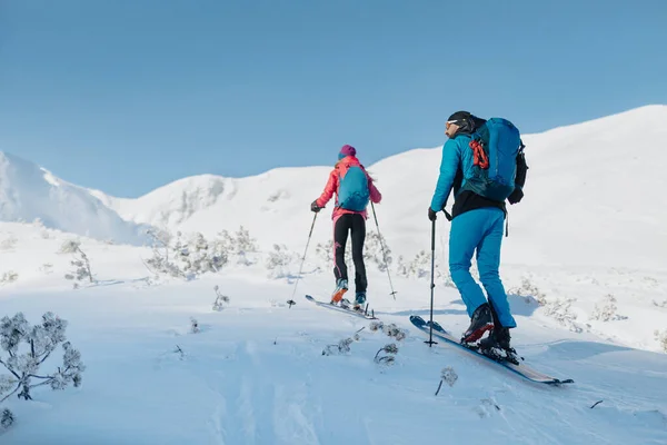 Vista trasera de la pareja de esquí de travesía subiendo una montaña en el Bajo Tatras en Eslovaquia. —  Fotos de Stock