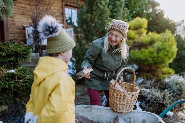 Down sendromlu çocuk kışın büyükannesiyle bahçede çalışıyor.. — Stok fotoğraf