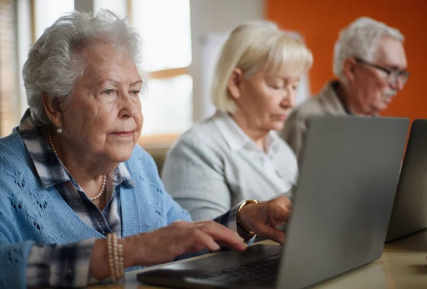 Senior group in retirement home learning together in computer class — Stock Photo, Image