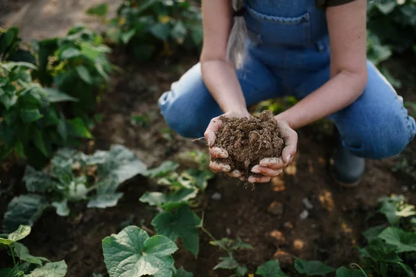 Primer plano de las manos de mujeres famélicas sosteniendo el suelo al aire libre en la granja comunitaria. — Foto de Stock