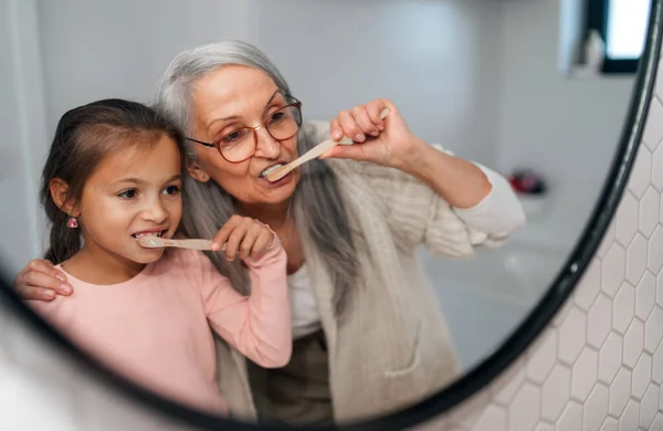 Старшая бабушка и внучка стоят в помещении в ванной комнате, чистят зубы утром. — стоковое фото