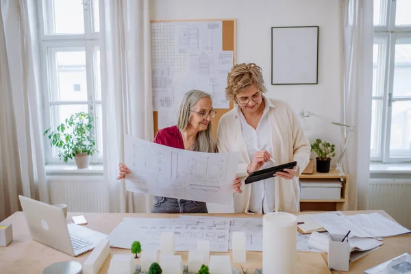 Femmes mûres architectes regardant les plans ensemble dans le bureau . — Photo