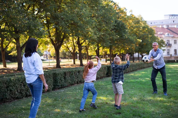 Счастливые маленькие дети с бабушками и дедушками играют с мячом в парке — стоковое фото
