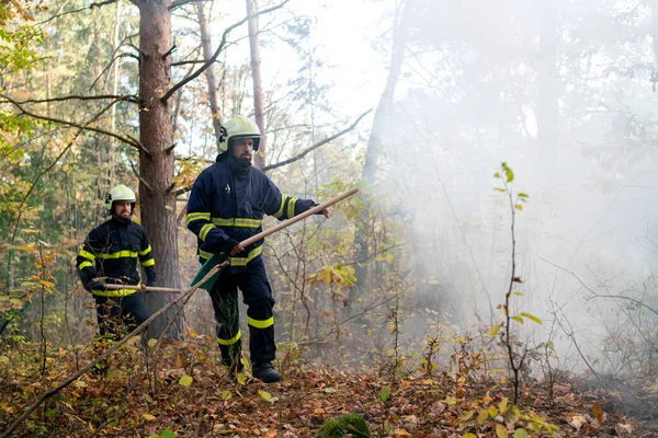 Firefighters men at action, running through smoke with shovels to stop fire in forest. — Stock Photo, Image