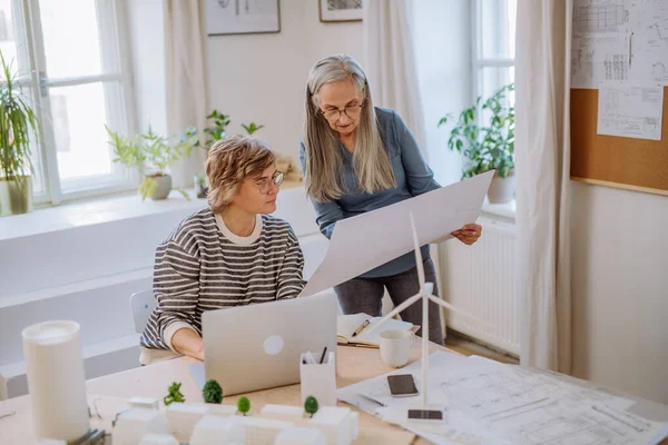 Olgun kadın ekolojik mimarlar ofiste lapotp üzerinde birlikte çalışıyorlar..