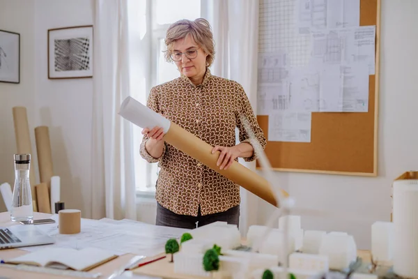 Зрелая женщина-архитектор вытаскивает свернутые чертежи из трубки в офисе. — стоковое фото