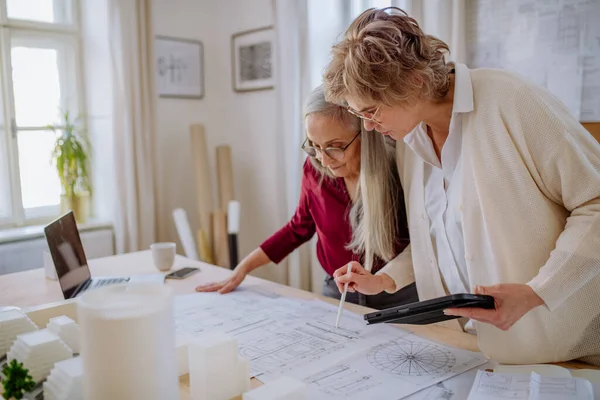 Зрелые женщины-эко-архитекторы с моделью современных булидингов и чертежей, работающие вместе в офисе. — стоковое фото