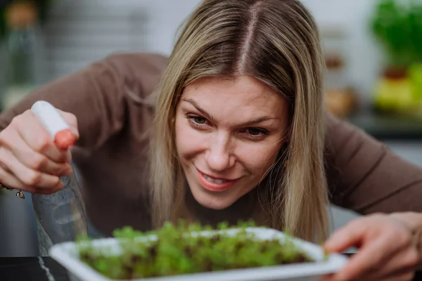 Γυναίκες ψεκάζουν φυτά που αναπτύσσονται από σπόρους σε μίνι θερμοκήπιο στο σπίτι. — Φωτογραφία Αρχείου