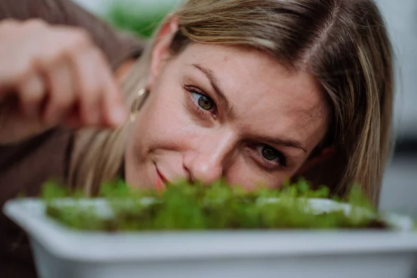 Woman looking at pot with cress growing from seed at home. — Stock Photo, Image