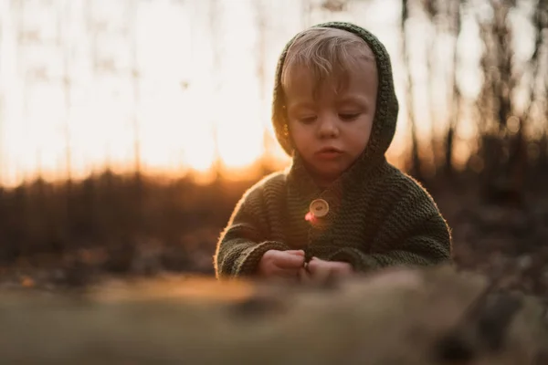 Little curious boy on walk in nature — Stock fotografie