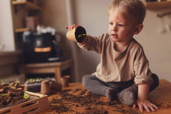 Mess and dirt on a table while little boy is playing with potted seedlings at home. — Foto de Stock