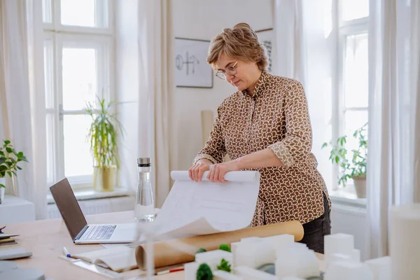 Mature woman architect rolling up blueprints in office. — Photo
