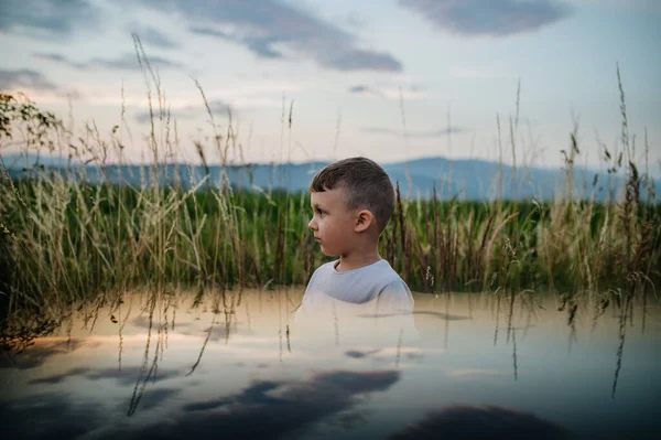 Little sad boy is standing in the field of wheat in summer. — Stok fotoğraf