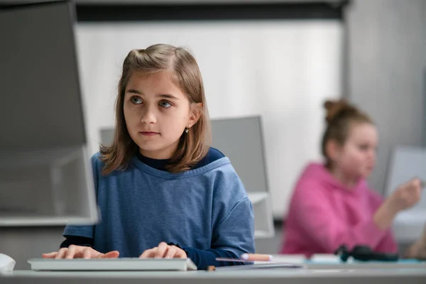 Schoolkinderen met behulp van de computer in de klas op school — Stockfoto