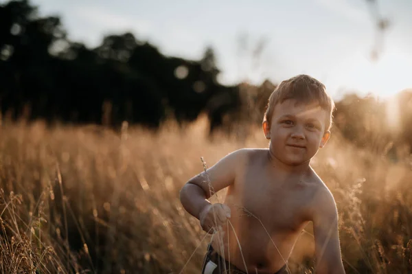 Kleine jongen staat in de zomer op het veld van tarwe — Stockfoto