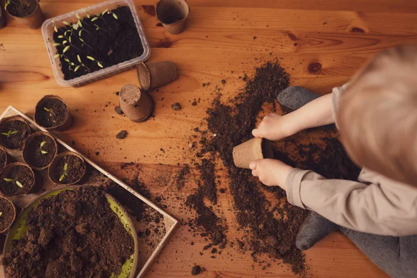 Mess and dirt on a table while little boy is playing with potted seedlings at home. — Stock Photo, Image