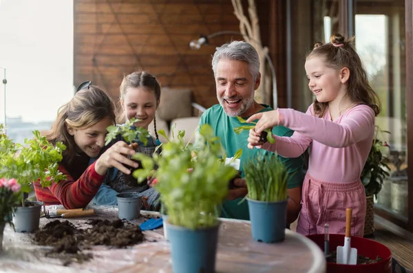 Three daughters helping father to plant flowers, home gardening concept — Stok Foto