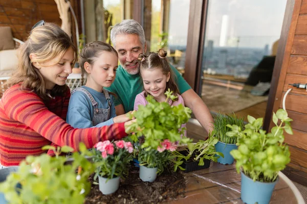 Three daughters helping father to plant flowers, home gardening concept — Stok Foto