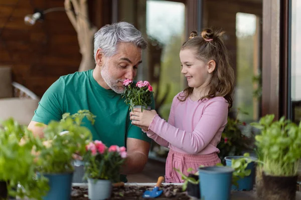 Little daughter helping father to plant flowers, home gardening concept — Stockfoto