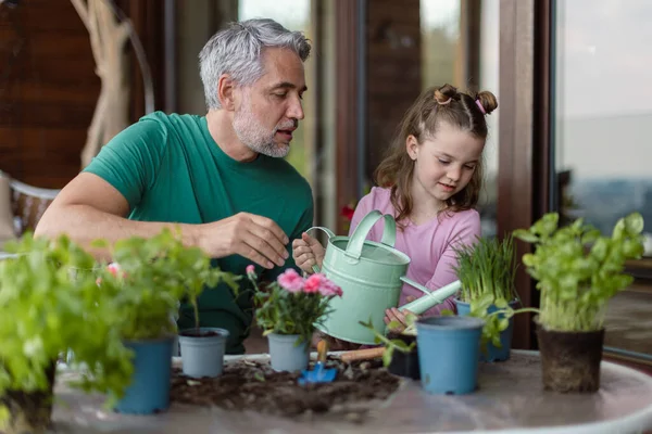 Little daughter helping father to plant and water flowers, home gardening concept — стоковое фото