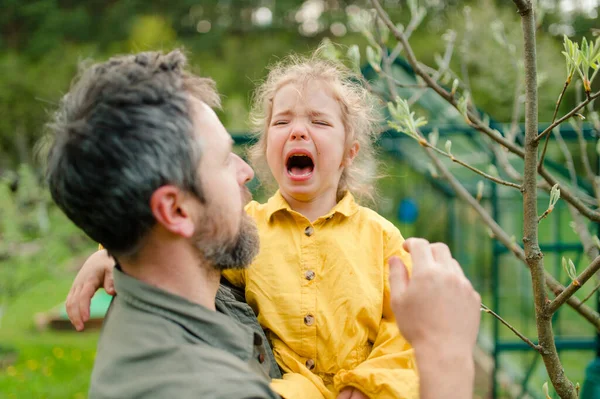 Vader houdt zijn huilende dochtertje vast en troost haar in de tuin — Stockfoto