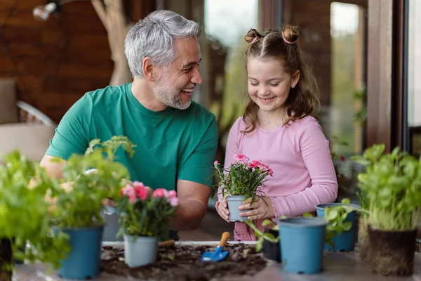 Little daughter helping father to plant flowers, home gardening concept — Stockfoto