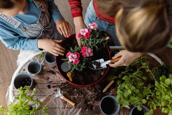 一緒に花を植える2人の妹のトップビュー、家庭菜園の概念. — ストック写真