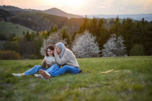 春天的一天 一位快乐的老奶奶和小孙子坐在大自然的草地上 — 图库照片