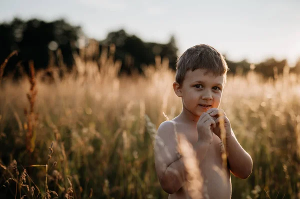 Liten Pojke Står Vetefältet Sommaren — Stockfoto