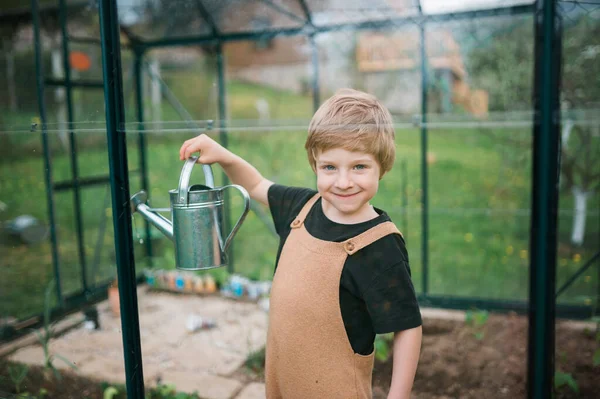 Neşeli Küçük Çocuk Eko Serasında Biber Bitkileriyle Ilgilenir Bahçeyle Ilgilenir — Stok fotoğraf