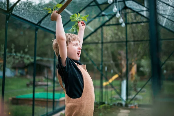 Menino Feliz Com Mãos Levantadas Eco Estufa Rindo Gritando — Fotografia de Stock