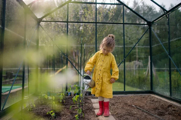 Little Girl Taking Care Plants Watering Them Eco Greenhouse Learn — Stok Foto