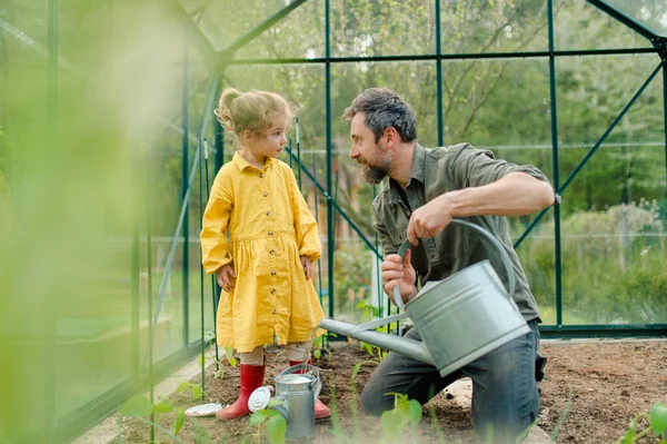 Father Learning His Little Daughter Care Organic Plants Eco Greenhouse — Fotografia de Stock