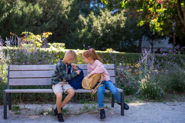 공원의 벤치에 이야기하고 준비하고 숙제하는 아이들 — 스톡 사진