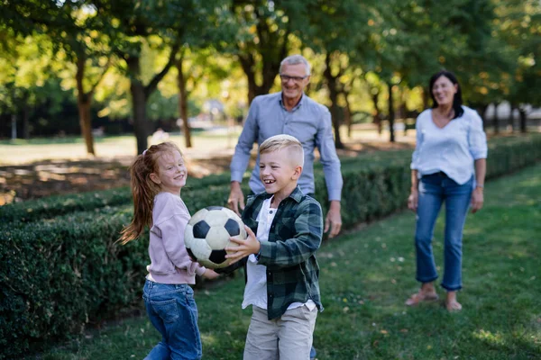 Happy Little Children Grandparents Playing Ball Outdoors Park — Stock Photo, Image