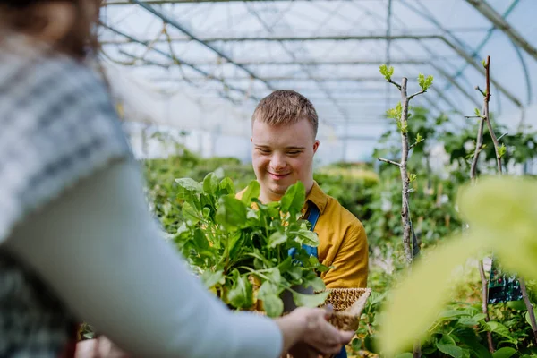 Joven Con Síndrome Que Trabaja Centro Jardinería — Foto de Stock