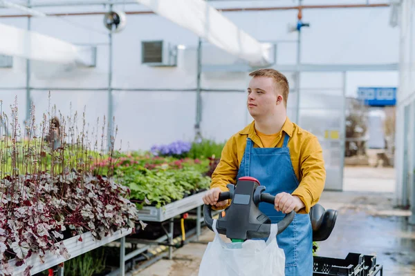 Joven Empleado Con Síndrome Que Trabaja Centro Jardinería Usando Apilador — Foto de Stock