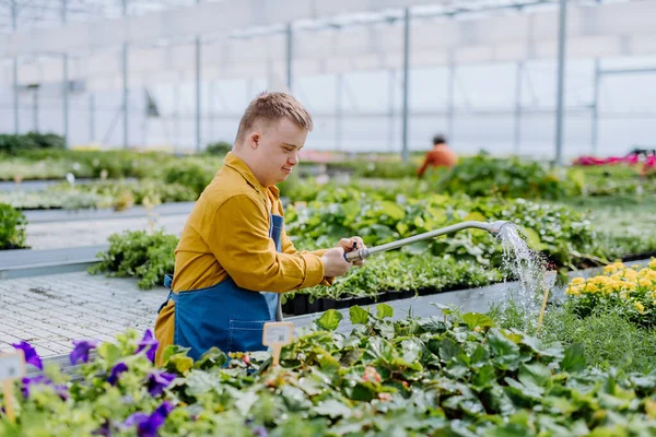 Jovem Funcionário Feliz Com Síndrome Trabalhando Centro Jardim Regando Plantas — Fotografia de Stock