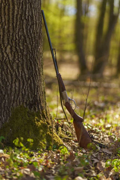 Una Pistola Fusil Cazadores Cerca Del Árbol Bosque —  Fotos de Stock