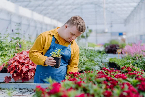 Joven Feliz Empleado Con Síndrome Que Trabaja Centro Jardinería Cuidando — Foto de Stock