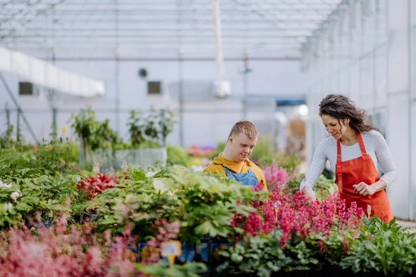 Una Florista Experimentada Ayudando Una Joven Empleada Con Síndrome Centro — Foto de Stock