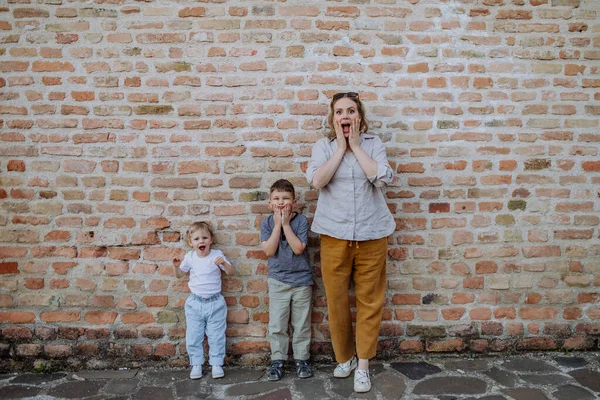 Mladá Matka Svými Malými Dětmi Stojící Cihlové Zdi Dělat Legrační — Stock fotografie